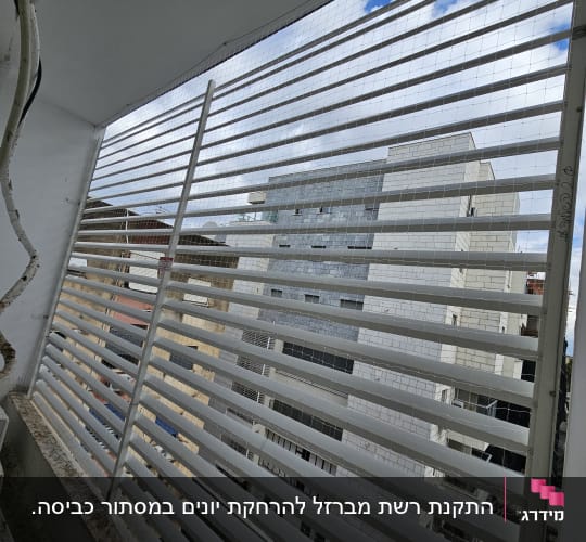 התקנת רשת שקופה להרחקת יונים במסתור כביסה בבניין מגורים